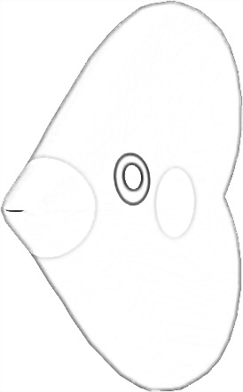 Coloriage de Lovdisc