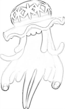 Coloriage de Zéroïd